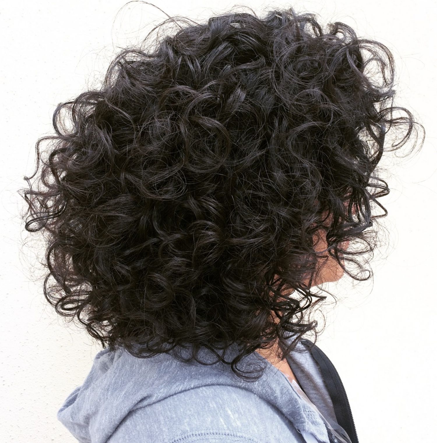 60 Styles and Cuts for Naturally Curly Hair in 2020 (481 x 486 Pixel)