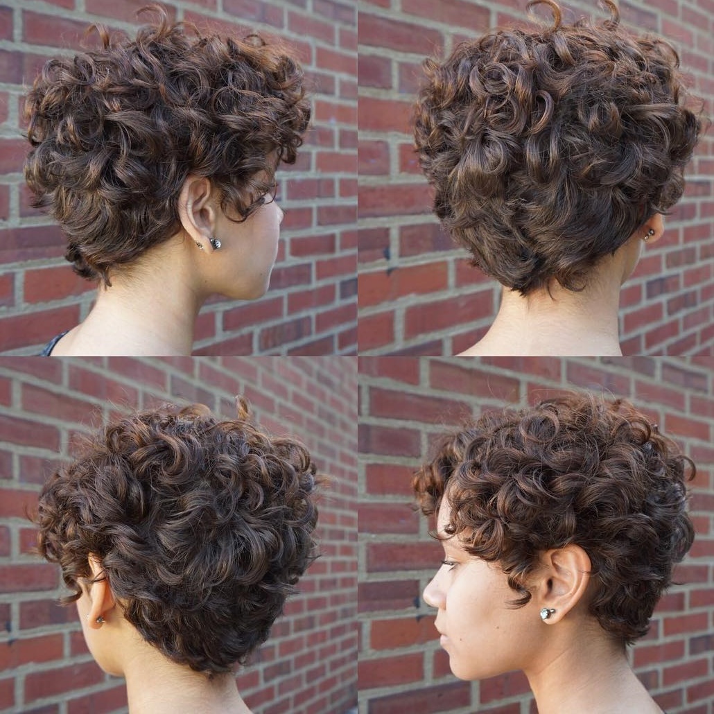 Short Curly Hairstyles - Hairstyle Guides