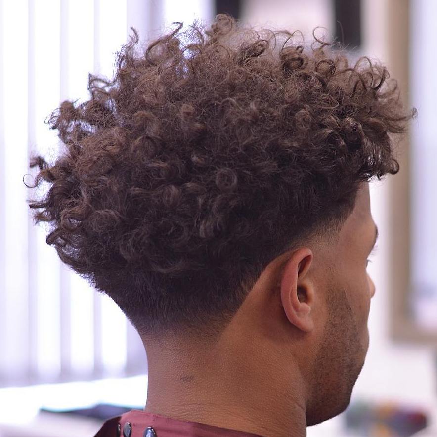 Curly Tapered Hairstyles