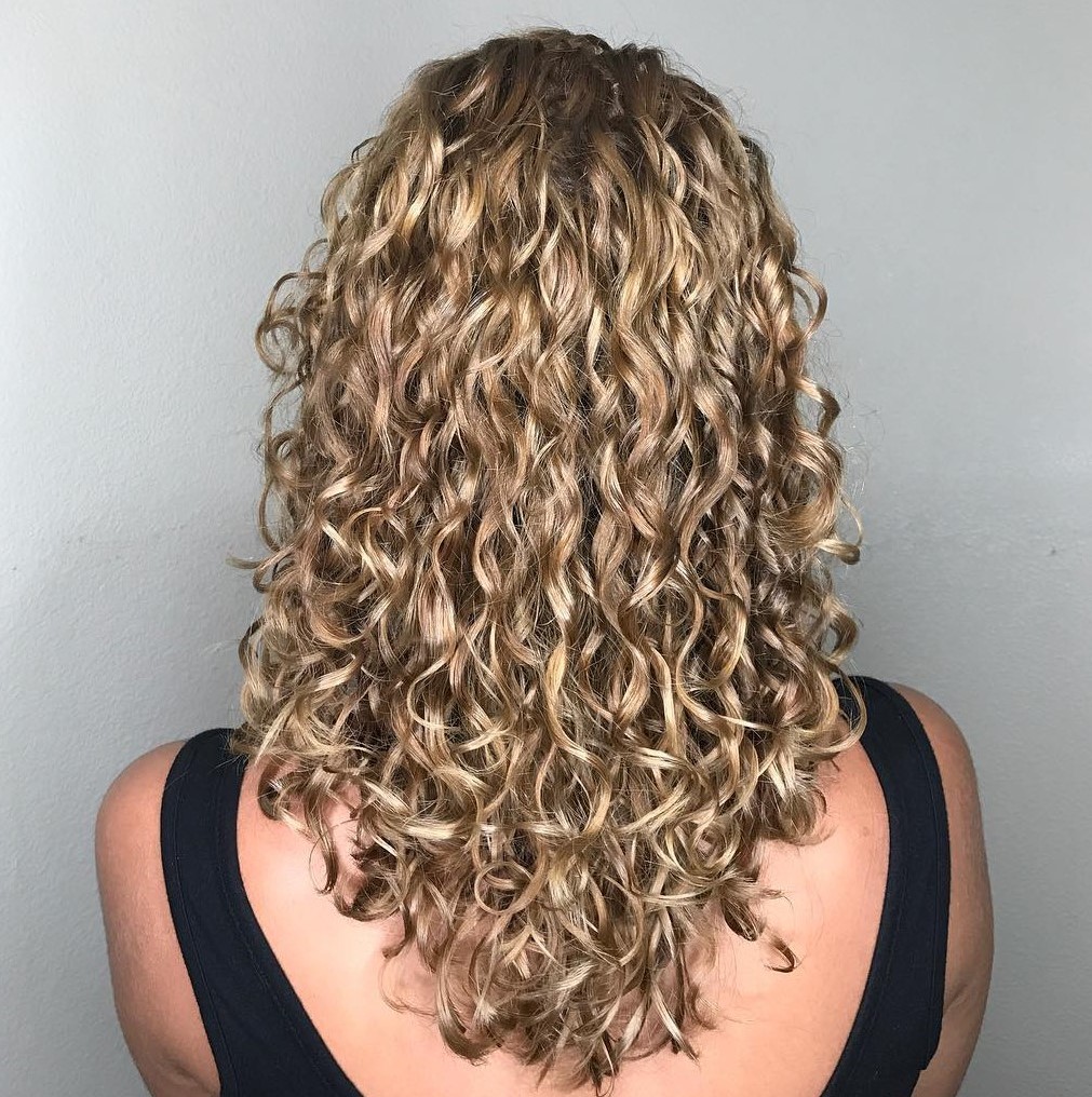 60 Styles and Cuts for Naturally Curly Hair in 2021 (500 x 502 Pixel)