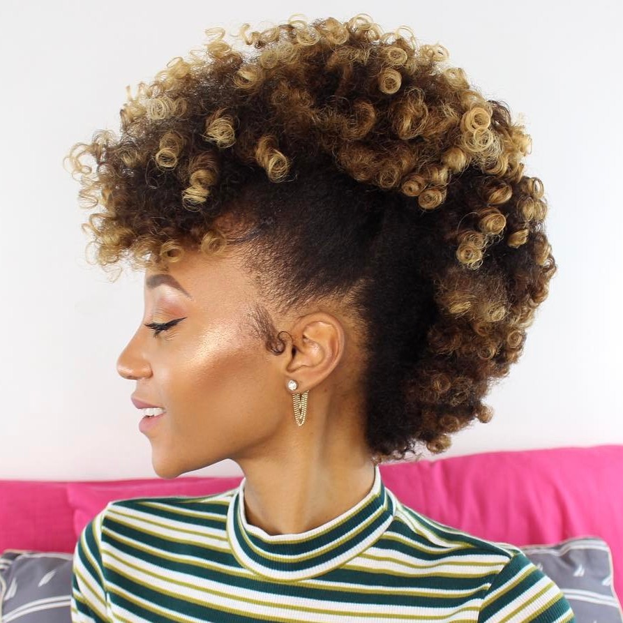 30 Best Natural Hairstyles for African American Women (500 x 500 Pixel)