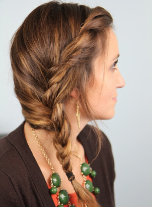 20 Stylish Side Braid Hairstyles For Long Hair (500 x 678 Pixel)