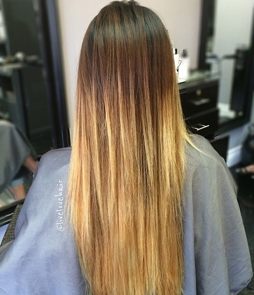 Sleek and Sexy Hair Beauty with Ombre Straight Hair