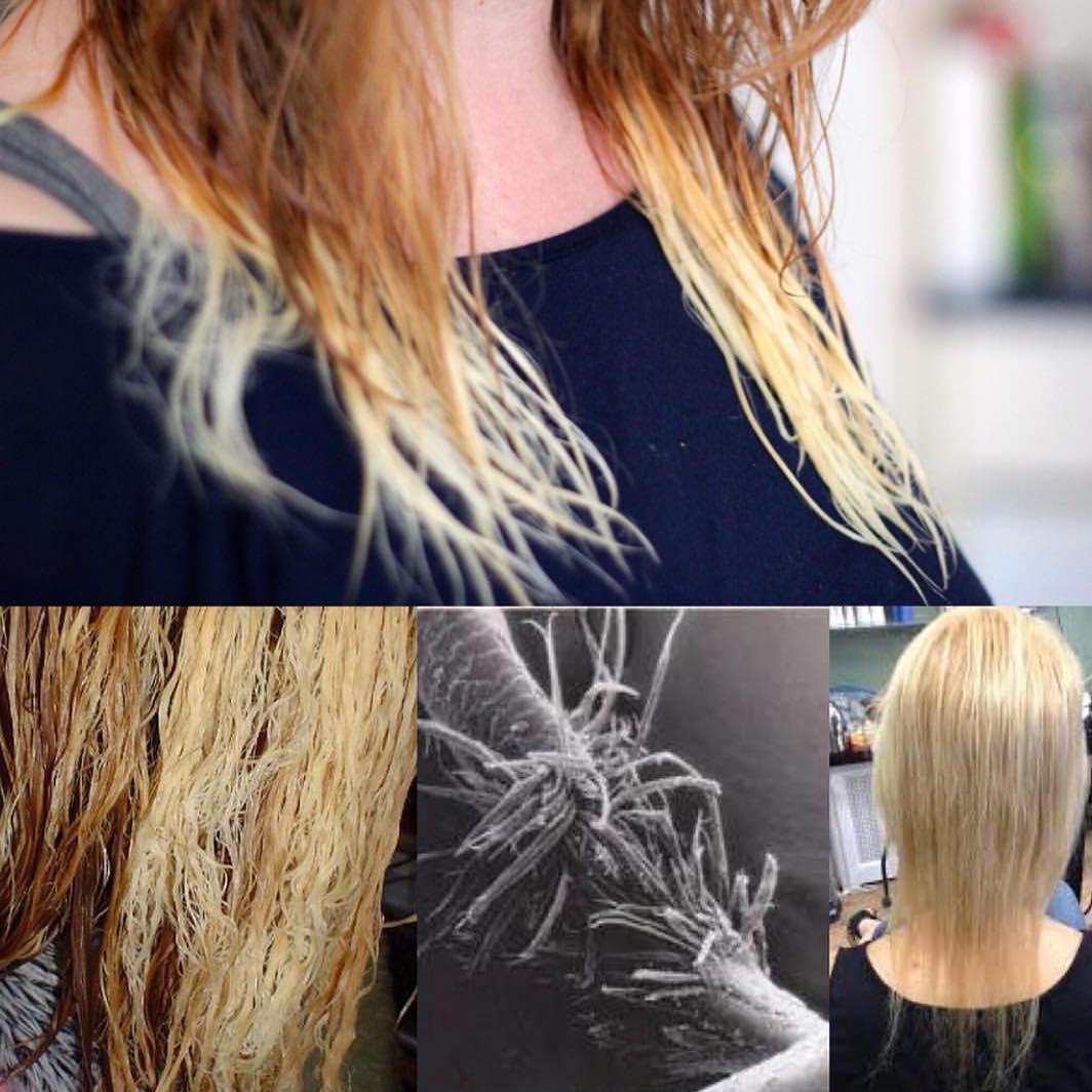 What To Do For Bleach Damaged Hair