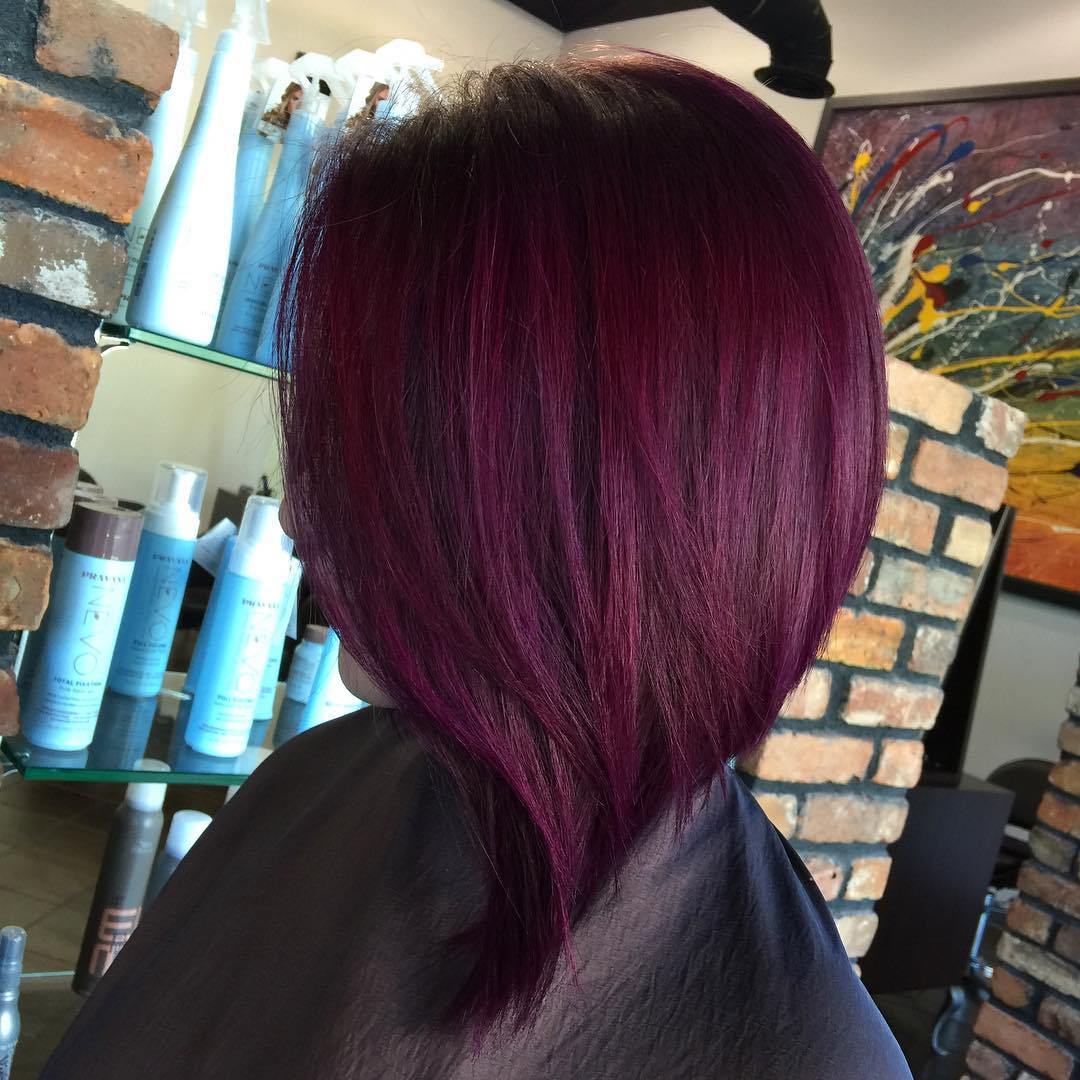 Dark Plum Hair Color