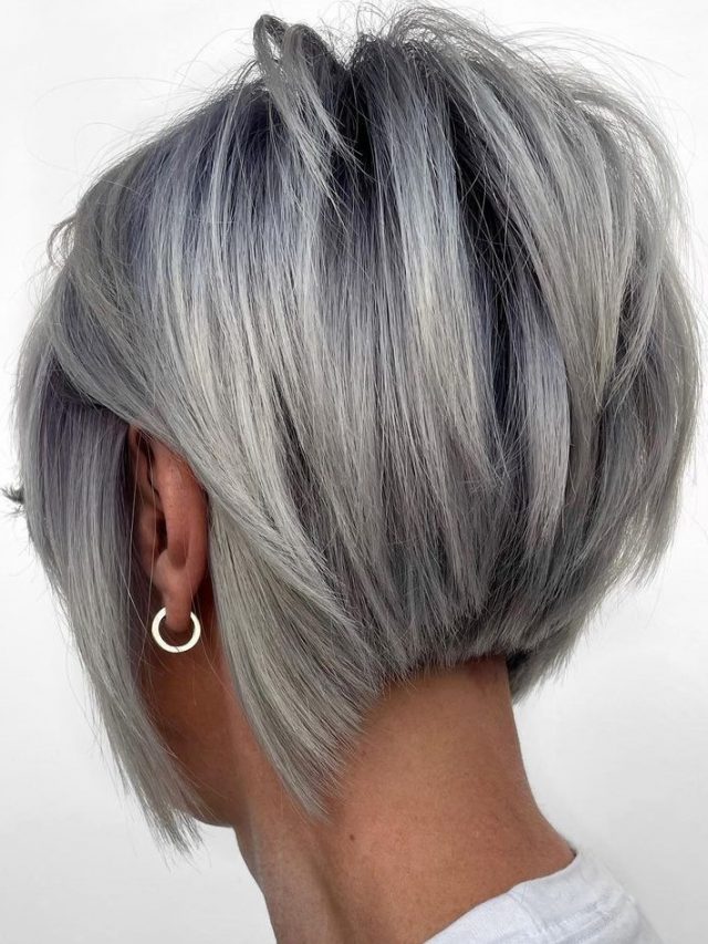 Cropped 24 Silver Pixie Bob With Textured Layers 