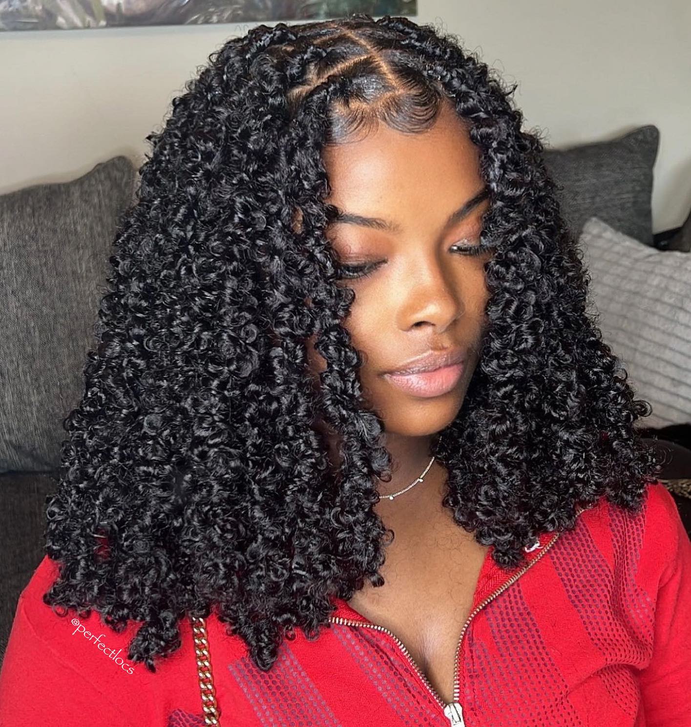 50 Fresh Butterfly Locs Ideas for a Natural Hair Queen