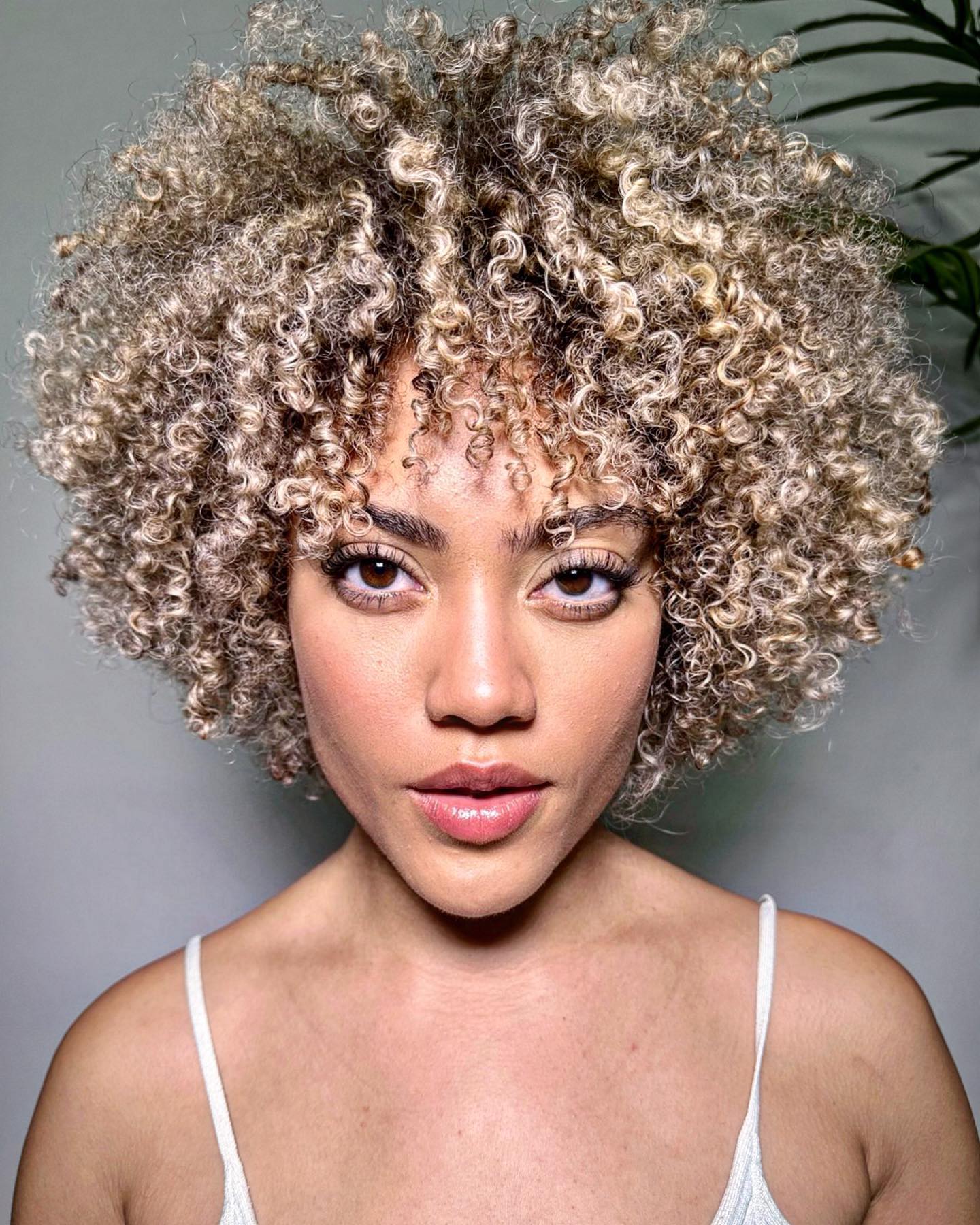 20 Exciting Ways to Get Highlights on Natural Black Hair