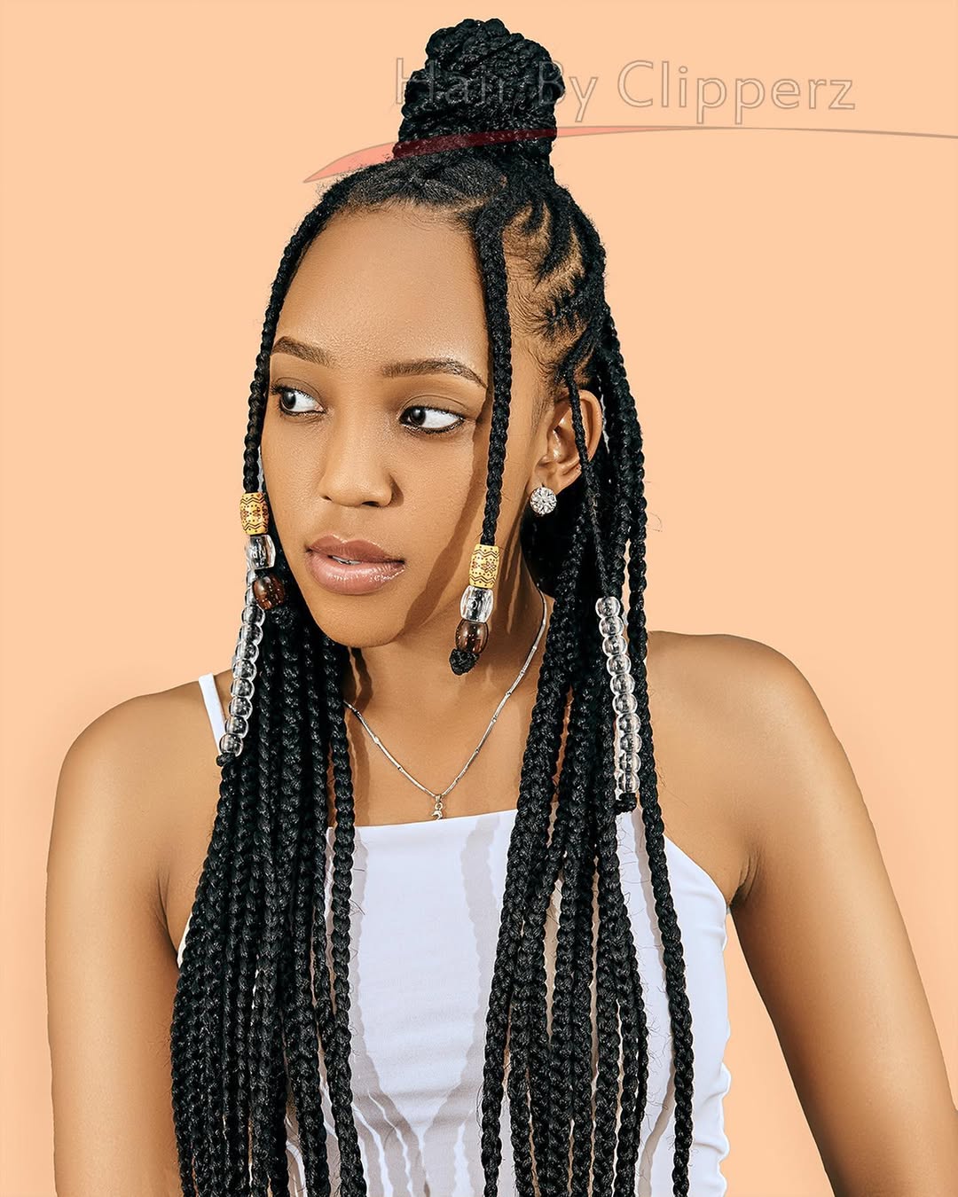 Braided Half-Up Hairstyle