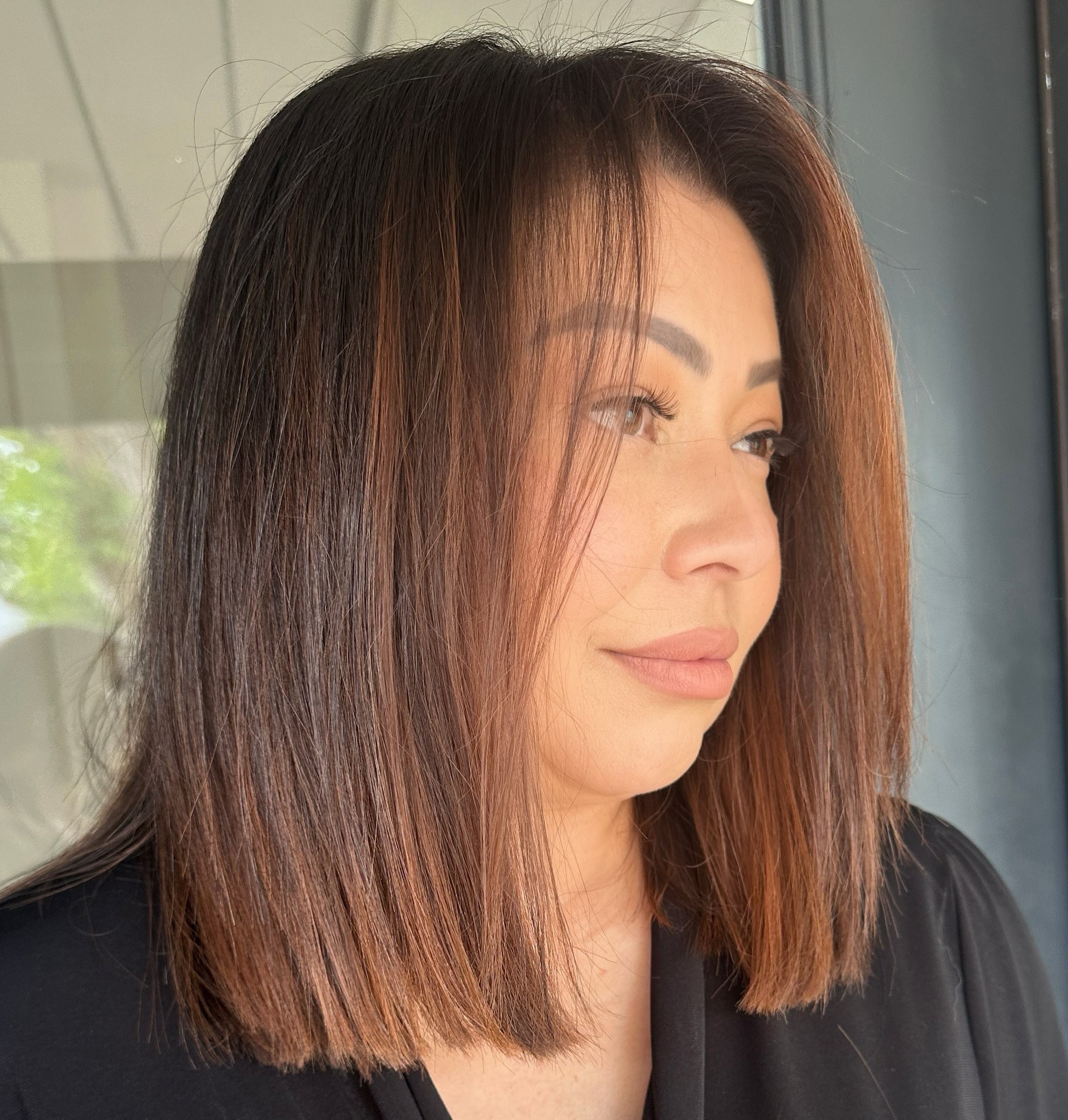 Blended Auburn Brown Highlights