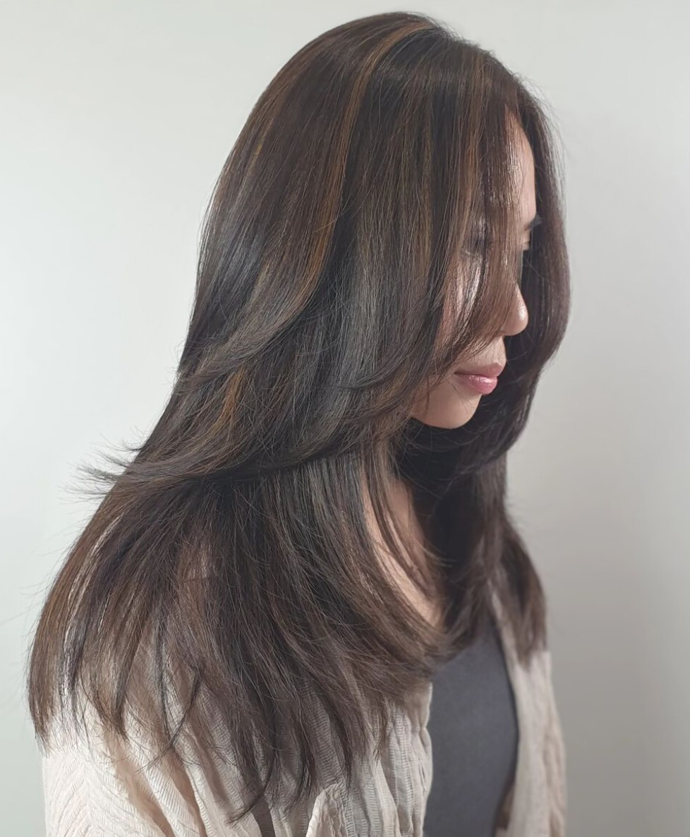 Brown Hair with Highlighted Tips