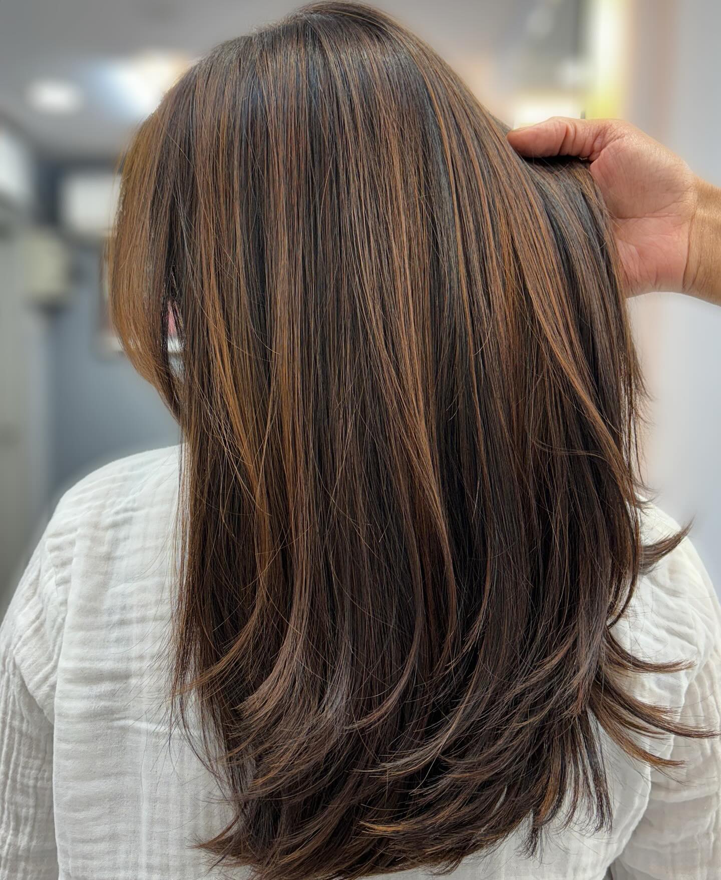 Straight Brown Hair with Highlights