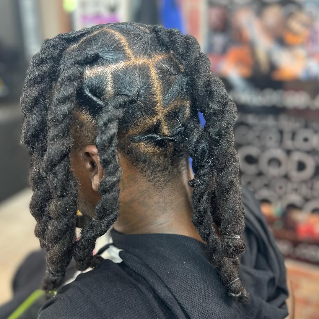 Long Locs Hairstyle for Men